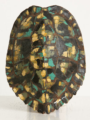 Painted Turtle Shell #4